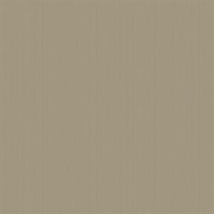 PARATO DESIGNER COLOURS /IN TNT UNITO FANGO MIS. 0,53X10,05MT