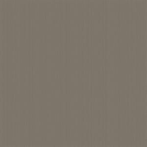 PARATO DESIGNER COLOURS /IN TNT UNITO BROWN 0,53X10,05MT