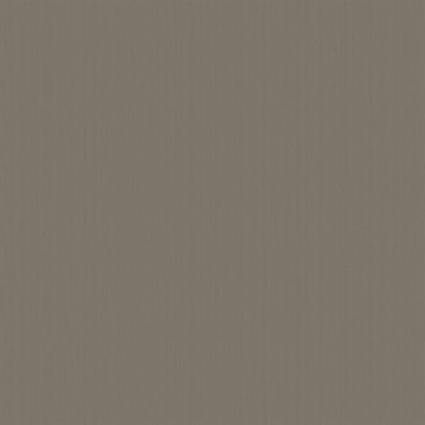 PARATO DESIGNER COLOURS /IN TNT UNITO BROWN 0,53X10,05MT