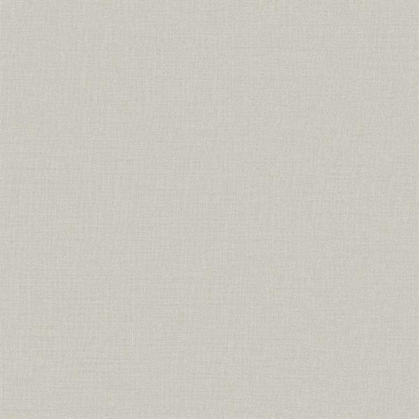 PARATO DESIGNER COLOURS /IN TNT UNITO GREY 0,53X10,05MT