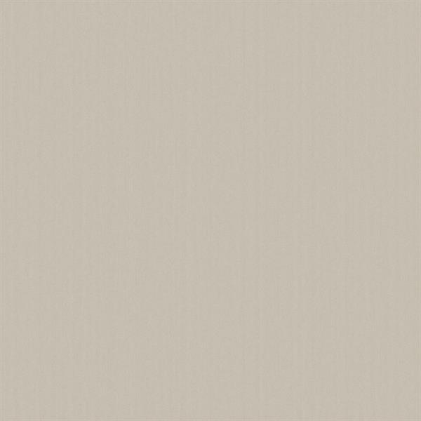 PARATO DESIGNER COLOURS /IN TNT UNITO FANGO 0,53X10,05MT