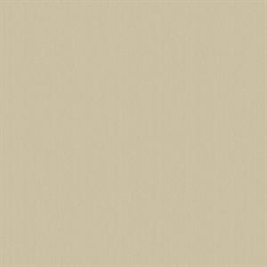 PARATO DESIGNER COLOURS /IN TNT UNITO BEIGE 0,53X10,05MT