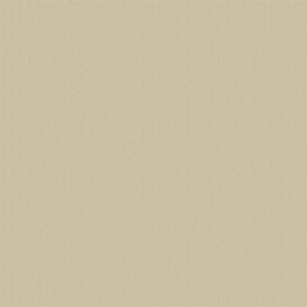 PARATO DESIGNER COLOURS /IN TNT UNITO BEIGE 0,53X10,05MT
