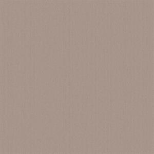 PARATO DESIGNER COLOURS /IN TNT UNITO P.FANGO 0,53X10,05MT