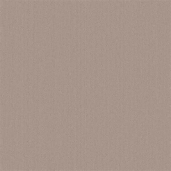 PARATO DESIGNER COLOURS /IN TNT UNITO P.FANGO 0,53X10,05MT