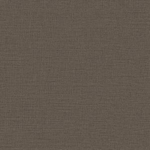 PARATO DESIGNER COLOURS /IN TNT UNITO BROWN 0,53X10,05MT