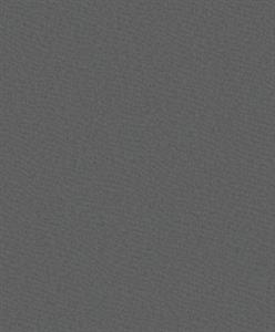 PARATO DESIGNER COLOURS /IN TNT UNITO DARK GREY 0,53X10,05MT