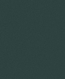 PARATO DESIGNER COLOURS /IN TNT UNITO GREEN 0,53X10,05MT
