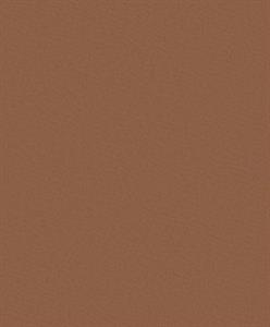 PARATO DESIGNER COLOURS /IN TNT UNITO ORANGE 0,53X10,05MT