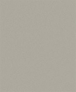 PARATO DESIGNER COLOURS /IN TNT UNITO TAUPE 0,53X10,05MT