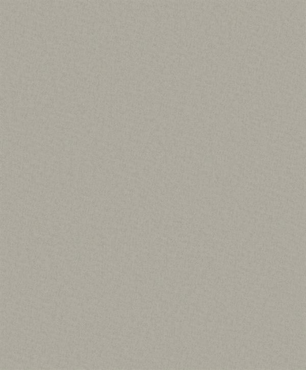 PARATO DESIGNER COLOURS /IN TNT UNITO TAUPE 0,53X10,05MT