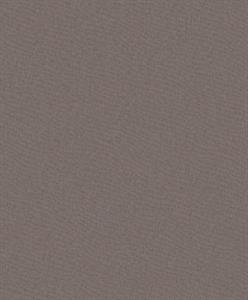 PARATO DESIGNER COLOURS /IN TNT UNITO BROWN 0,53X10,05MT