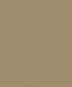 PARATO DESIGNER COLOURS /IN TNT UNITO L.BROWN 0,53X10,05MT