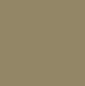 PARATO DESIGNER COLOURS /IN TNT UNITO GOLD MIS. 0,53X10,05MT