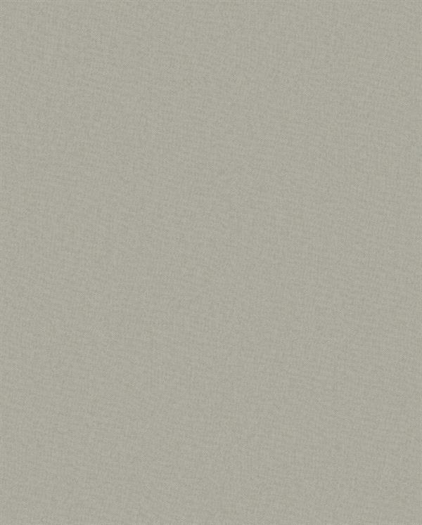 PARATO DESIGNER COLOURS /IN TNT UNITO SILVER GREY 0,53X10,05MT