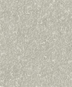 PARATO DESIGNER COLOURS /IN TNT UNITO SILVER GREY 0,53X10,05MT