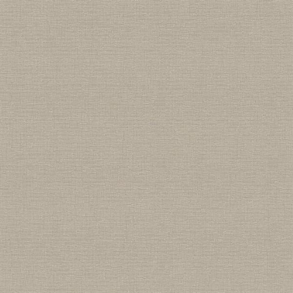 PARATO DESIGNER COLOURS /IN TNT UNITO TAUPE 0,53X10,05MT
