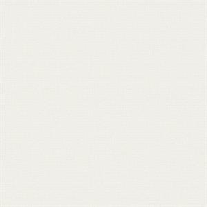 PARATO DESIGNER COLOURS /IN TNT UNITO WHITE 0,53X10,05MT