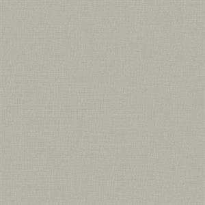 PARATO DESIGNER COLOURS /IN TNT UNITO SILVER GREY 0,53X10,05MT