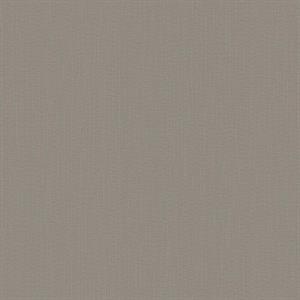 PARATO DESIGNER COLOURS /IN TNT UNITO TAUPE 0,53X10,05MT