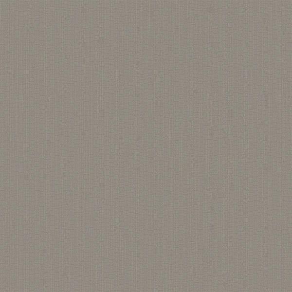 PARATO DESIGNER COLOURS /IN TNT UNITO TAUPE 0,53X10,05MT