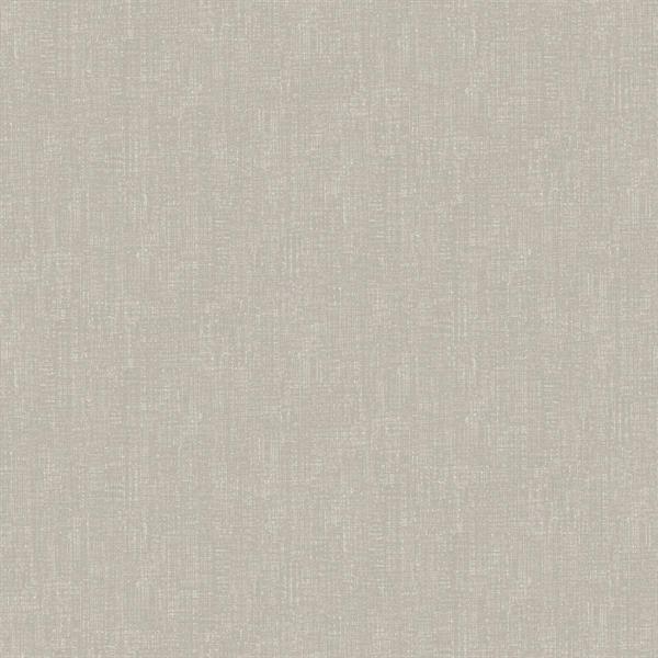 PARATO DESIGNER COLOURS /IN TNT UNITO GREY  0,53X10,05MT