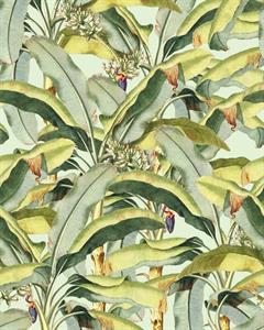 FOTOMURALE TNT SEASONS  FOLIAGE BANANA 200x250H.CM