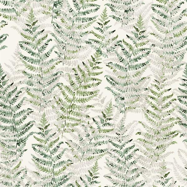 FOTOMURALE TNT SEASONS  FOLIAGE GREEN 250x250H.CM
