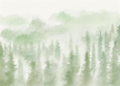 FOTOMURALE TNT SEASONS  WOODS GREEN.350x250H.CM