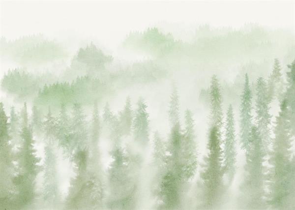 FOTOMURALE TNT SEASONS  WOODS GREEN.350x250H.CM