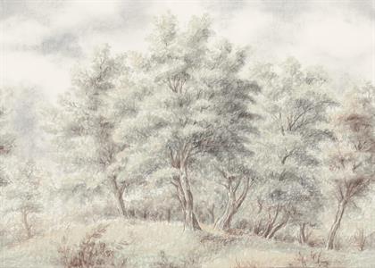 FOTOMURALE TNT SEASONS  FOREST GROVE.350x250H.CM