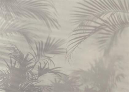 FOTOMURALE TNT SEASONS  FOLIAGE OMBRE.350x205H.CM