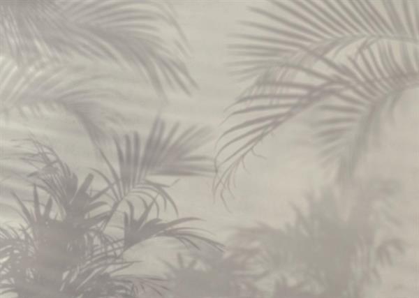FOTOMURALE TNT SEASONS  FOLIAGE OMBRE.350x205H.CM