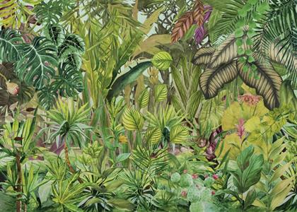 FOTOMURALE TNT SEASONS  JUNGLE MOOD.350x250H.CM