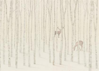 FOTOMURALE TNT SEASONS  DEER FOREST.350x250H.CM
