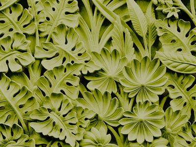 STAMPA DIG. NANOUCHE    / TNT MATT TROPICAL GREEN MIS.AL MQ