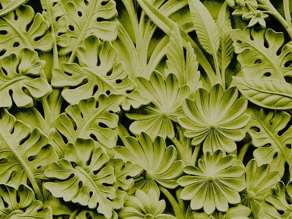 STAMPA DIG. NANOUCHE    / TNT MATT TROPICAL GREEN MIS.AL MQ
