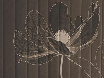 STAMPA DIG. NANOUCHE    / TNT MATT FLOWER COFFEE MIS.AL MQ