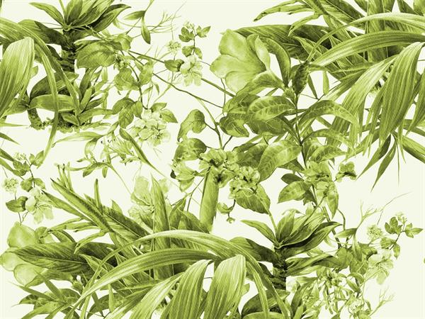 STAMPA DIG. NANOUCHE    / TNT MATT FOLIAGE GREEN MIS.AL MQ