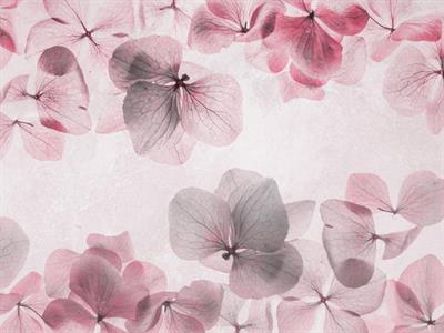 STAMPA DIG. NANOUCHE    / TNT MATT FOLIAGE PINK MIS.AL MQ
