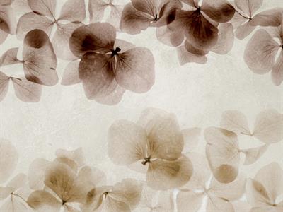 STAMPA DIG. NANOUCHE    / TNT MATT FOLIAGE VINTAGE MIS.AL MQ