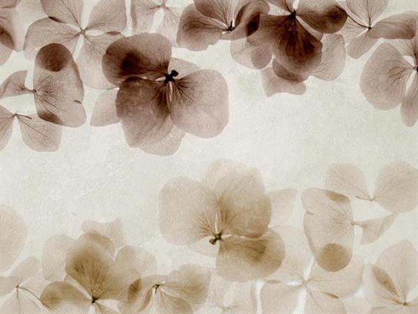 STAMPA DIG. NANOUCHE    / TNT MATT FOLIAGE VINTAGE MIS.AL MQ