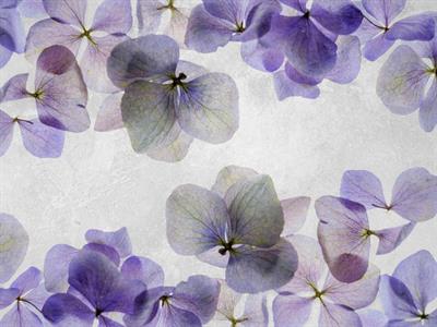 STAMPA DIG. NANOUCHE    / TNT MATT FOLIAGE VIOLET MIS.AL MQ