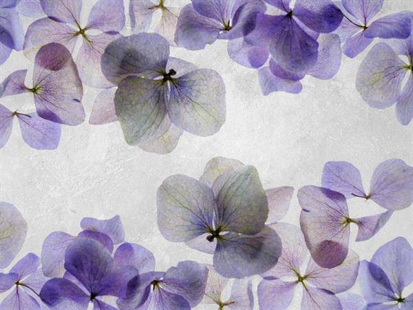 STAMPA DIG. NANOUCHE    / TNT MATT FOLIAGE VIOLET MIS.AL MQ