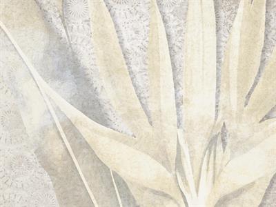 STAMPA DIG. NATURALIA   / TNT MATT MARMO BIANCO MIS. AL MQ