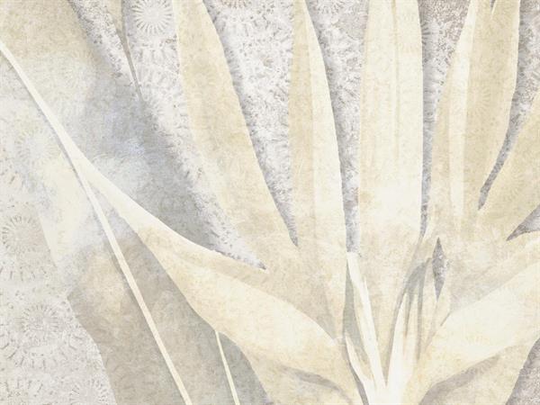 STAMPA DIG. NATURALIA   / TNT MATT MARMO BIANCO MIS. AL MQ
