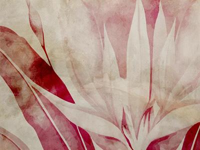 STAMPA DIG. NATURALIA   / TNT MATT MARMO ROSA MIS.AL MQ