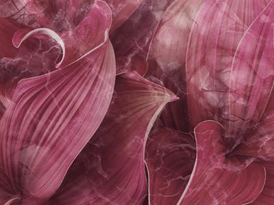 STAMPA DIG. NATURALIA   / TNT MATT J.MARMO ROSA MIS.AL MQ
