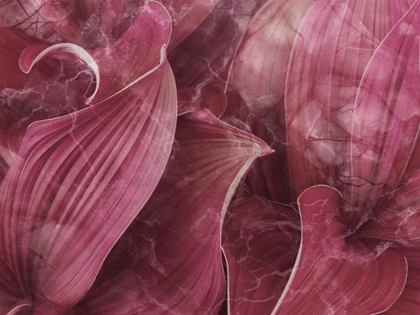 STAMPA DIG. NATURALIA   / TNT MATT J.MARMO ROSA MIS.AL MQ