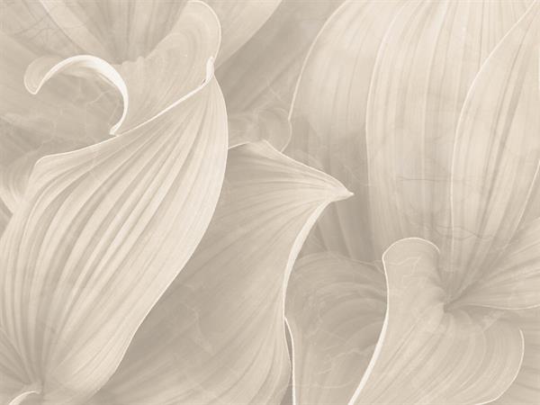 STAMPA DIG. NATURALIA   / TNT MATT J.MARMO AVORIO MIS.AL MQ